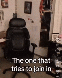 Adrian GIF