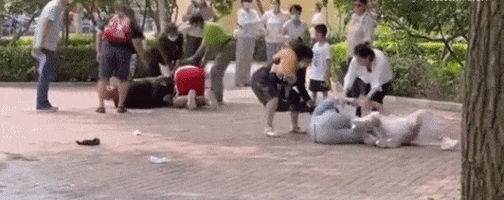 cuteanimalland giphyupload GIF