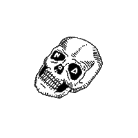 skull spinning Sticker by Nyx Op Donderdag