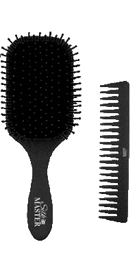 silkmasterprofessional hair master silk straightener Sticker