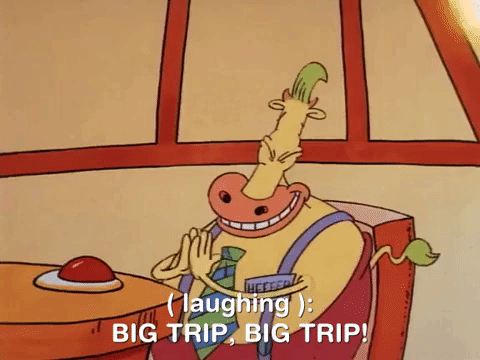 rockos modern life nicksplat GIF