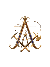 Tml Sticker by Tomorrowland