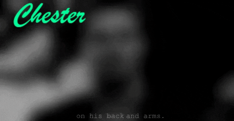 Charlynelson giphygifmaker GIF