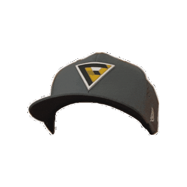 Fv Sticker by FreightVana