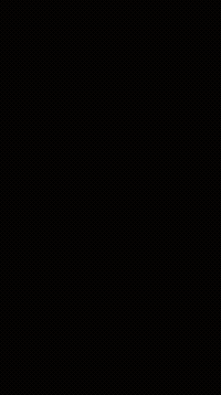 Dance Dancing Dolphin GIF
