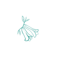Sticker by Pupila Nativa