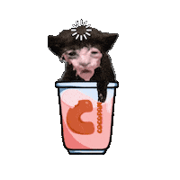 Cat Eat Sticker by Cocopan