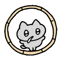 moonii_toon cat exercise 고양이 catwalk Sticker