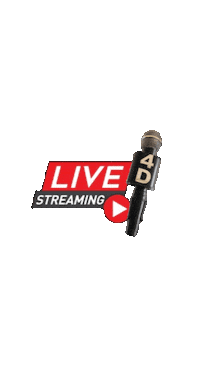 Fashion Streaming Sticker by 4Dcolor