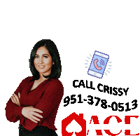 Realtor Realestate Sticker by ACE Realty Inc.