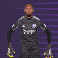 Major League Soccer Sport GIF by Orlando City SC