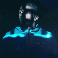 france nba GIF by Charlotte Hornets