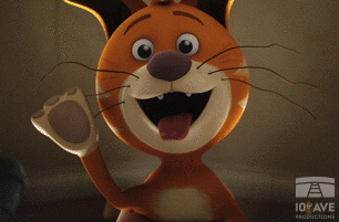 Cat GIF by 10e Ave Productions