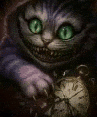 Too Late Cat GIF