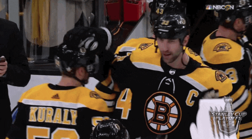 happy ice hockey GIF by NHL