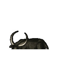 Farm Animal Cow Sticker by The Wild Curiosity