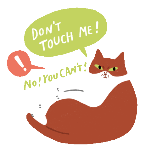 sesamenpeanut cat no dont peanut Sticker