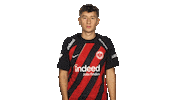 Eintracht Frankfurt Love Sticker by Bundesliga
