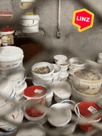 Austria What GIF by Linz News