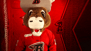 Disappointed Oh No GIF by Rapid City Rush