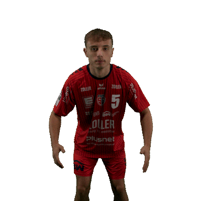 Handball Sticker by DAIKIN HBL