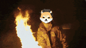 Elon GIF by Dogelon Mars