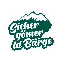 lenksimmental switzerland schweiz lst lenk Sticker