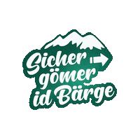 lenksimmental switzerland schweiz lst lenk Sticker