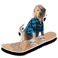 Dog Snowboarding Sticker by X Games 