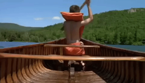 new hampshire GIF