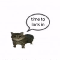 Lock In Cat GIF