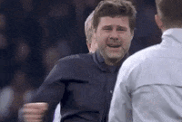 come on you spurs champions league GIF