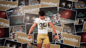 Georgia Tech Football GIF by Georgia Tech Yellow Jackets