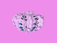 digital art GIF by Simon Falk