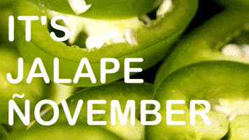 November 1 GIF by Sealed With A GIF