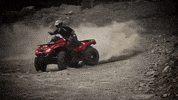 xyngular dirt bike weekend fun xyngular xyngular mlm GIF