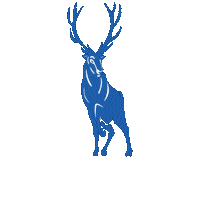 bishopmiegecatholichighschool stag stags miege bishopmiege Sticker
