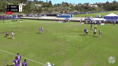 flikulti ultimate frisbee flik GIF