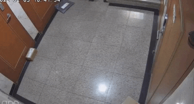 jyujin giphyupload GIF
