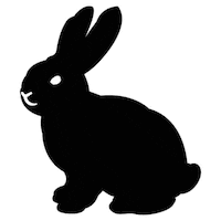Happy Bunny Sticker by kittybunnypony