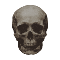 Ccm Sales Rally Sticker by CrossCountry Mortgage, LLC