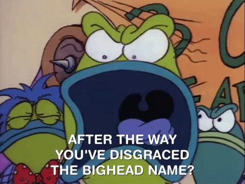 Rockos Modern Life Nicksplat GIF by NickRewind