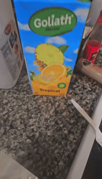Goliath Kev GIF