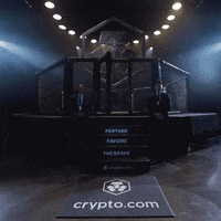 Gym Ufc GIF by Crypto.com