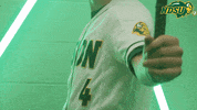 Bat Bison GIF by NDSU Athletics