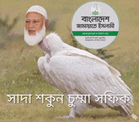 Bnp GIF