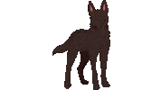 Koira Sticker by Lybecker_animaatio
