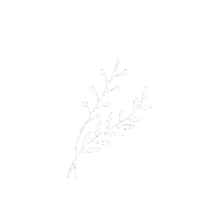 athenatvs white nature minimal leaf Sticker