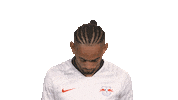 Happy Red Bulls Sticker by Bundesliga