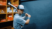 North Carolina Baseball GIF by UNC Tar Heels